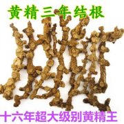 地藏黄精