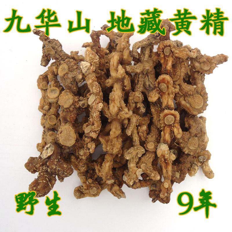 地藏黄精九年结根