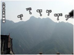 天然睡佛