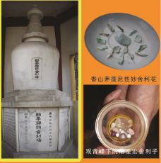 九华山旅游