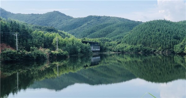 首届十佳特色民宿—松林农场