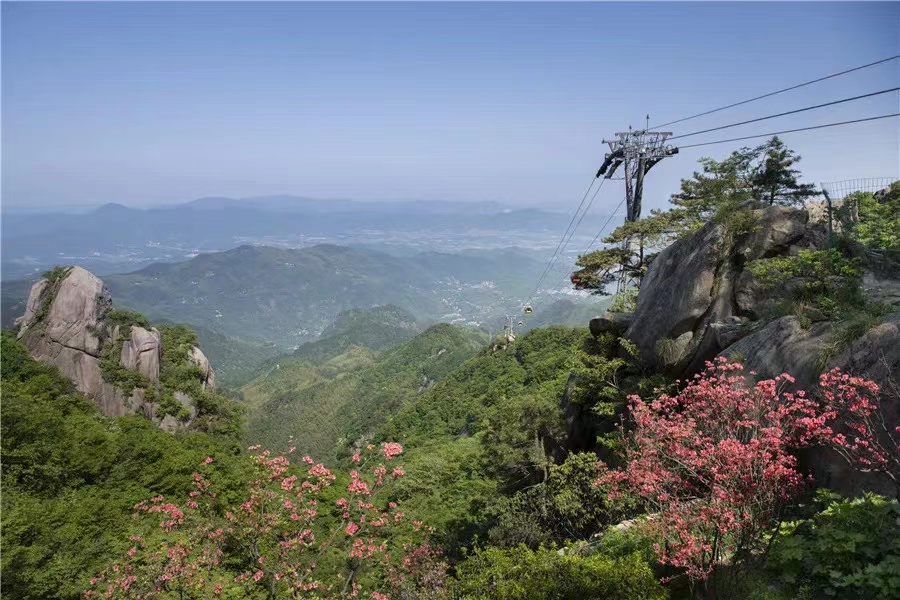 九华山：花台最美五月天