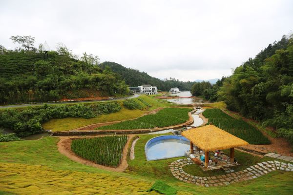 太平湖高速假日酒店怎么样(住宿体验)