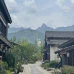 九华山Hotel MoMc蔓兰酒店怎么样(住宿体验)