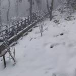 九华山丽丽宾馆怎么样(住宿体验)