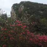 花筑·九华山流云筑民宿怎么样(住宿体验)