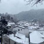 九华山书生雅居客栈怎么样(住宿体验)