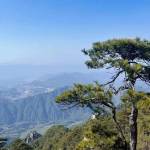 九华山书生雅居客栈怎么样(住宿体验)