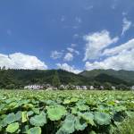 九华山徽味酒楼怎么样(住宿体验)