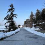 九华山惜遇山舍民宿怎么样(住宿体验)