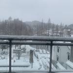 九华山瑾欣美宿怎么样(住宿体验)