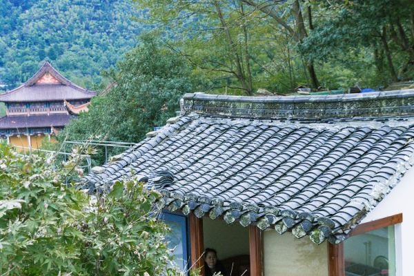 池州金香樟别院怎么样(住宿体验)