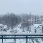 九华山瑾欣美宿怎么样(住宿体验)