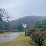 九华山五溪山色大酒店怎么样(住宿体验)