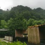 九华山半出清谷微酒店怎么样(住宿体验)