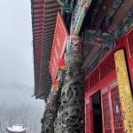 九华山两卷民宿怎么样(住宿体验)