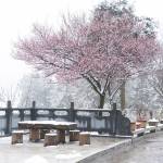 九华山福林小居怎么样(住宿体验)