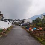 九华山栖间堂别墅怎么样(住宿体验)