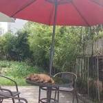 花筑·伴夏民宿(九华山换乘中心店)怎么样(住宿体验)