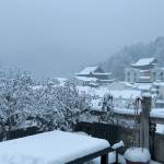 九华山九舍自在庭院民宿怎么样(住宿体验)
