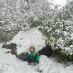 九华山丽丽宾馆怎么样(住宿体验)