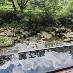 九华山初心叁舍·大音希声民宿怎么样(住宿体验)