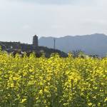 九华山值德民宿怎么样(住宿体验)