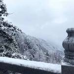 九华山书生雅居客栈怎么样(住宿体验)