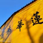 九华山远山简舍民宿怎么样(住宿体验)