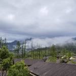 九华山Hotel MoMc蔓兰酒店怎么样(住宿体验)
