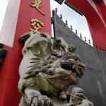 九华山子疏山庄怎么样(住宿体验)