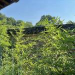 泾县云外民宿怎么样(住宿体验)