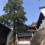 九华山林溪里民宿怎么样(住宿体验)