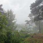 九华山静馨小苑怎么样(住宿体验)