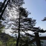 九华山子疏山庄怎么样(住宿体验)
