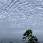 九华山舒磊山庄怎么样(住宿体验)