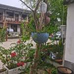 泾县查氏山庄怎么样(住宿体验)