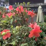 九华山舒磊山庄怎么样(住宿体验)