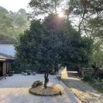 黄山山里·什帖民宿怎么样(住宿体验)