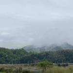 泾县忆江南民宿怎么样(住宿体验)