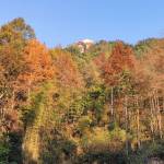 九华山龙青山庄怎么样(住宿体验)