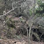 九华山禅舍怎么样(住宿体验)