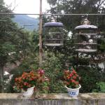 九华山松园山庄怎么样(住宿体验)