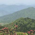 九华山子疏山庄怎么样(住宿体验)