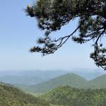九华山子疏山庄怎么样(住宿体验)