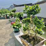 泾县忆江南民宿怎么样(住宿体验)