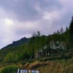 九华山松苑山庄怎么样(住宿体验)