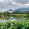 九华山华侨大酒店怎么样(住宿体验)