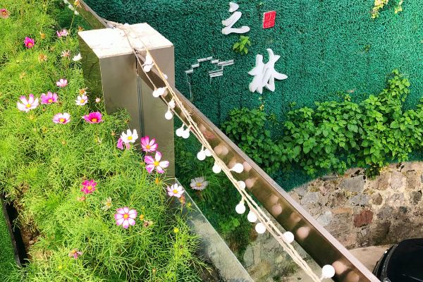 九华山居之林山庄怎么样(住宿体验)