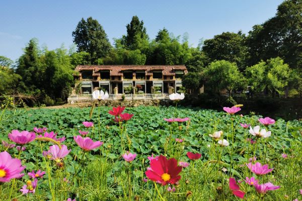 九华山东篱下悠然山居怎么样(住宿体验)